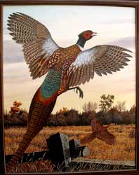 Gouache of Pheasant.