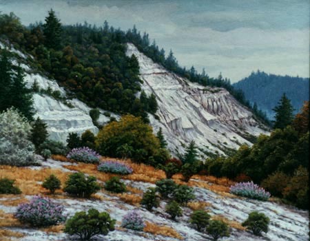 Oil painting of Scotts Valley wildflowers and sandbank.